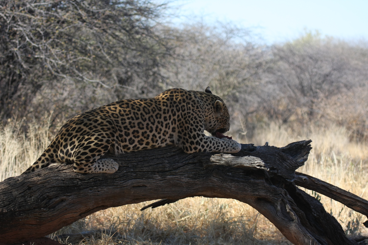 [5571] 2016_06_23_10_17_20_Africa_Canon_EOS_40D_IMG__08463.jpg