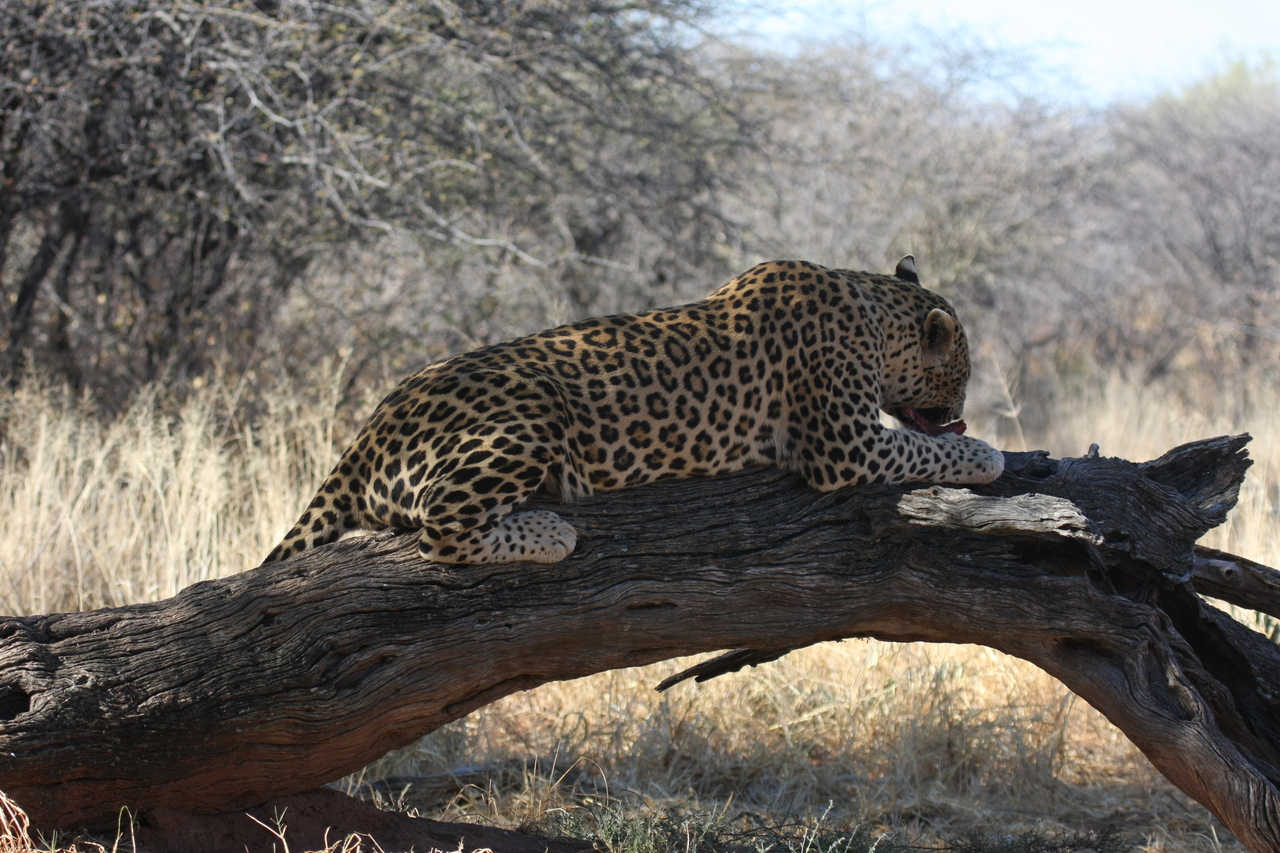 [5576] 2016_06_23_10_17_36_Africa_Canon_EOS_40D_IMG__01018.jpg