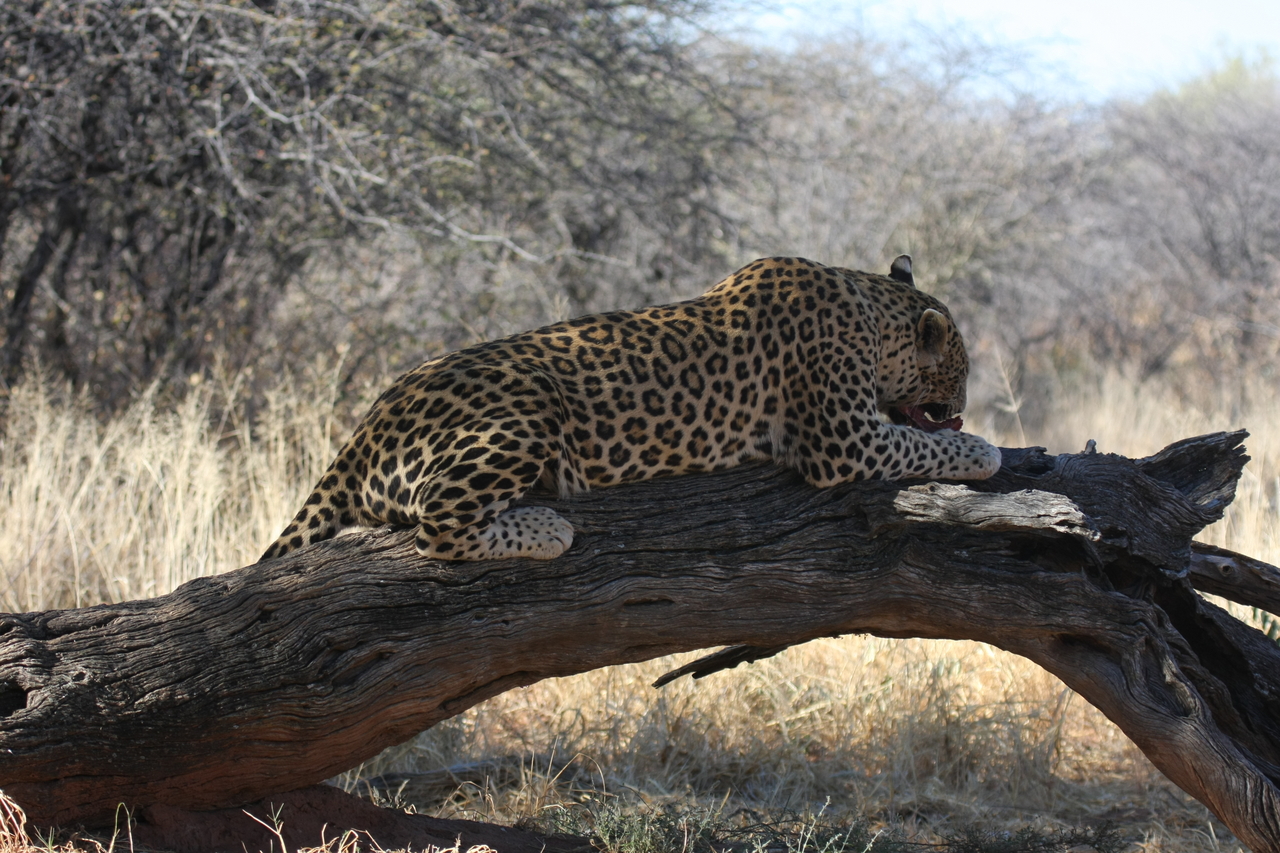 [5577] 2016_06_23_10_17_36_Africa_Canon_EOS_40D_IMG__01019.jpg