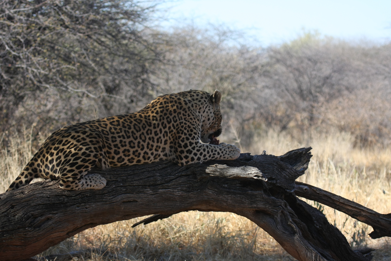 [5595] 2016_06_23_10_18_18_Africa_Canon_EOS_40D_IMG__00192.jpg