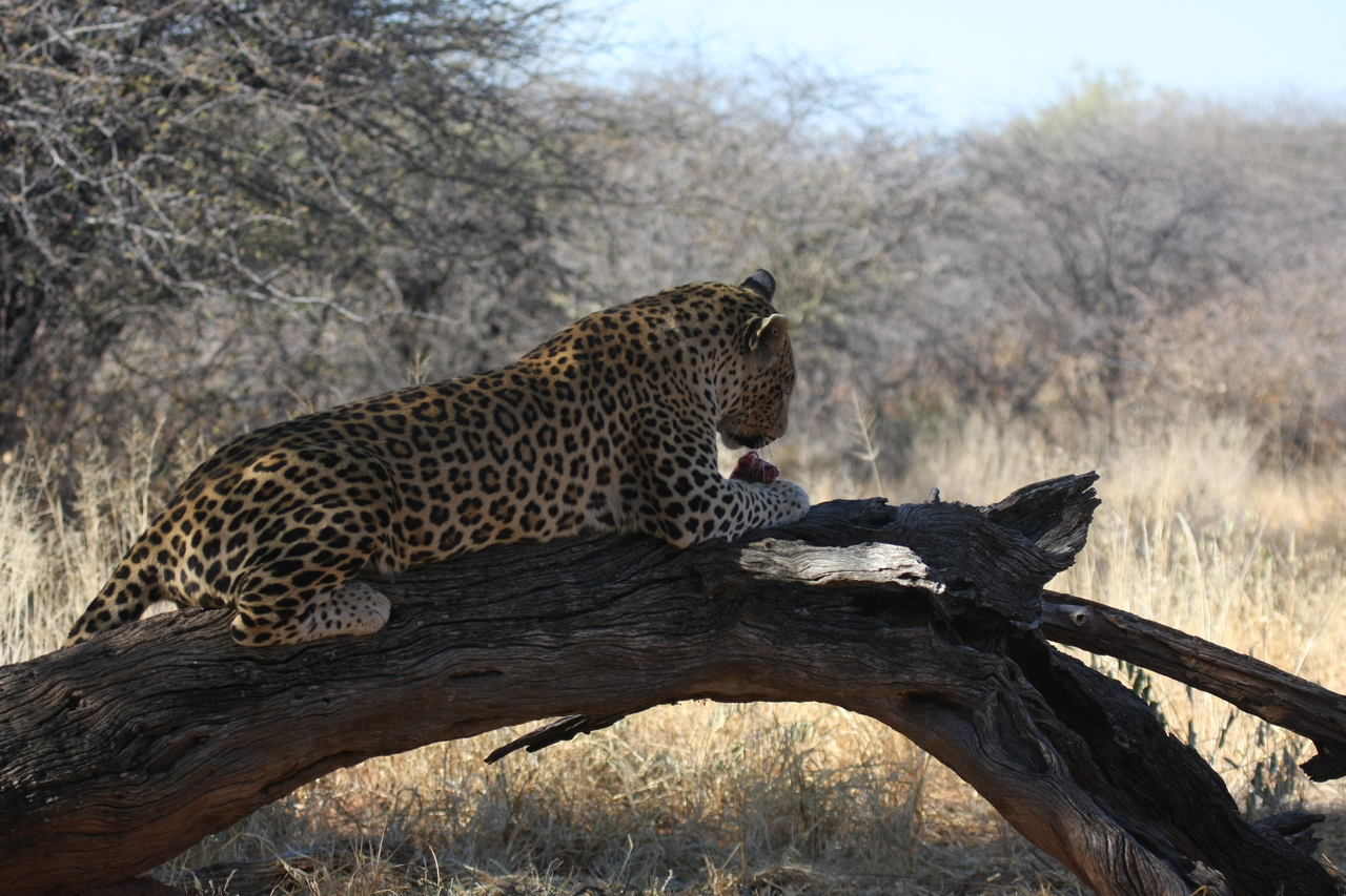 [5618] 2016_06_23_10_20_19_Africa_Canon_EOS_40D_IMG__00199.jpg