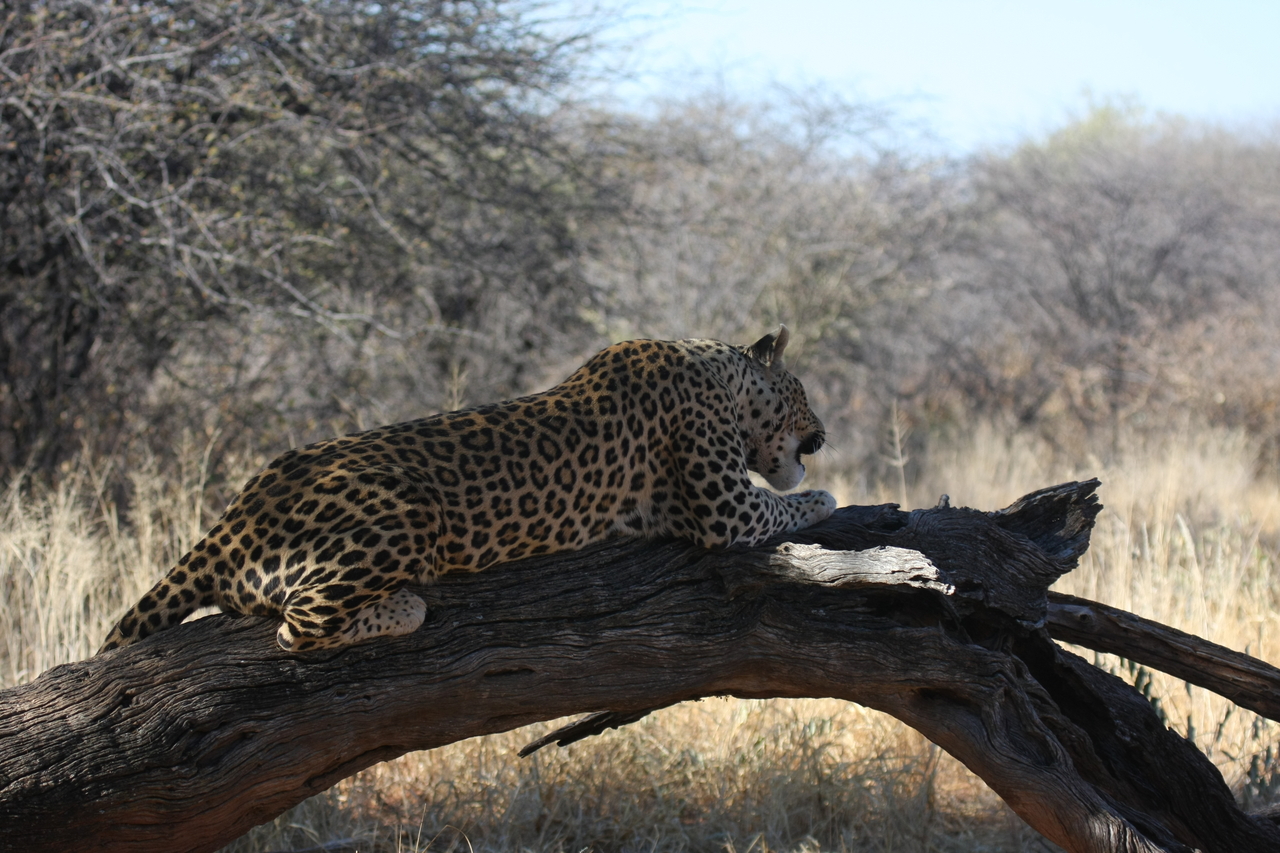 [5639] 2016_06_23_10_24_20_Africa_Canon_EOS_40D_IMG__00202.jpg