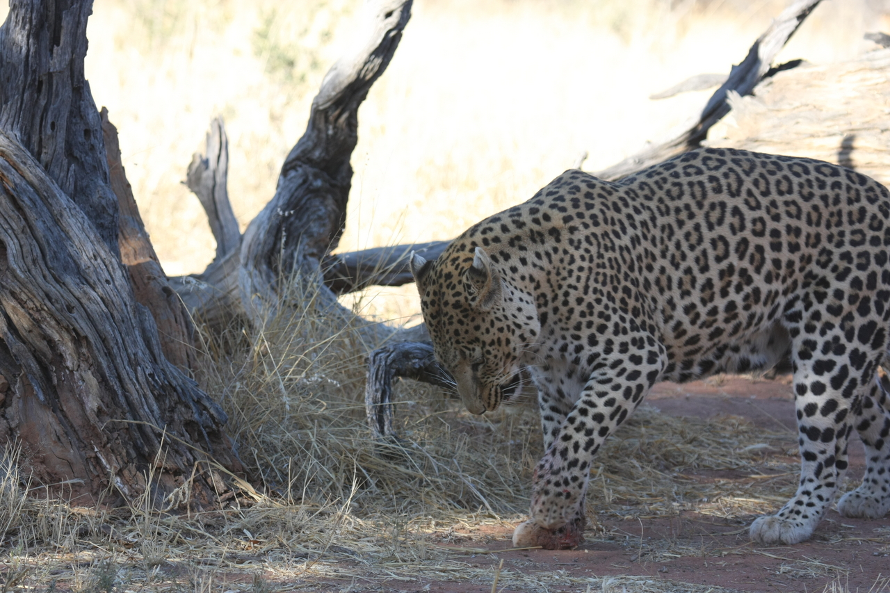 [5675] 2016_06_23_10_25_16_Africa_Canon_EOS_40D_IMG__00214.jpg