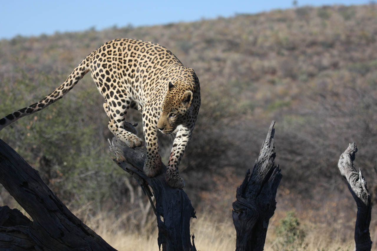 [5722] 2016_06_23_10_25_43_Africa_Canon_EOS_40D_IMG__08510.jpg