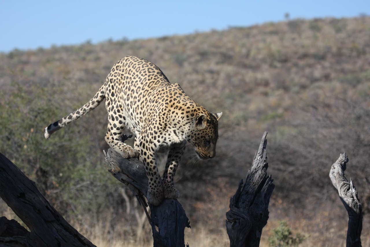 [5738] 2016_06_23_10_25_47_Africa_Canon_EOS_40D_IMG__01068.jpg