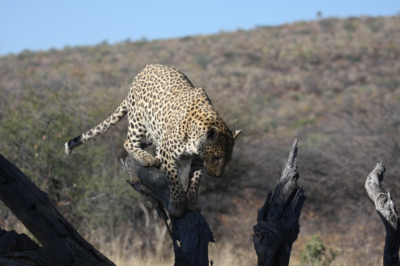[5739] 2016_06_23_10_25_47_Africa_Canon_EOS_40D_IMG__01069.jpg