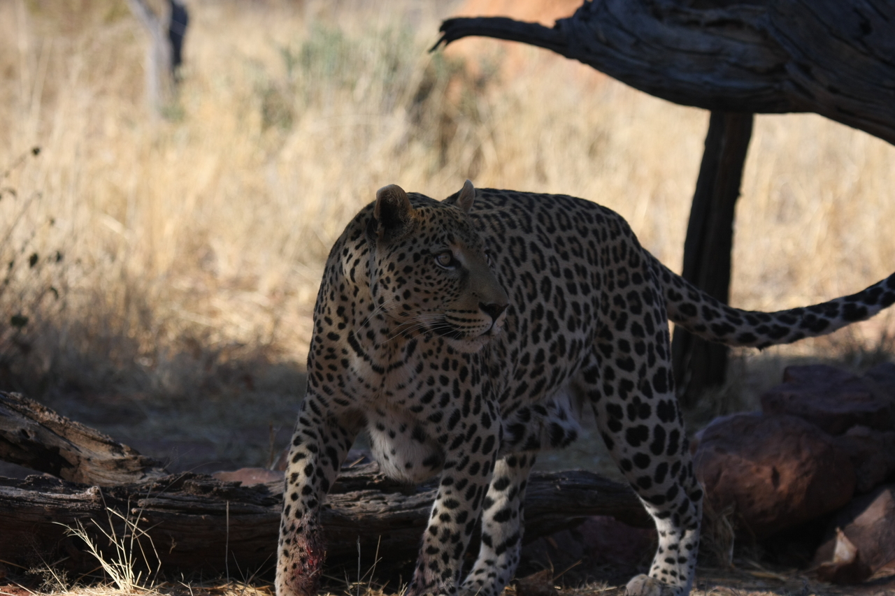 [5773] 2016_06_23_10_26_05_Africa_Canon_EOS_40D_IMG__01080.jpg