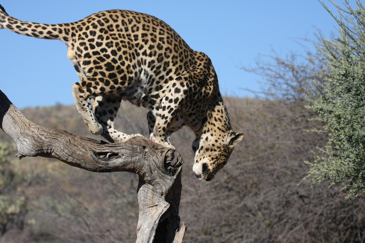 [5815] 2016_06_23_10_26_35_Africa_Canon_EOS_40D_IMG__08541.jpg