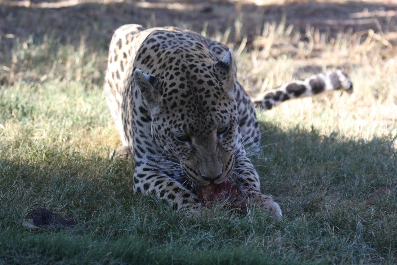 [5864] 2016_06_23_10_27_21_Africa_Canon_EOS_40D_IMG__00273.jpg
