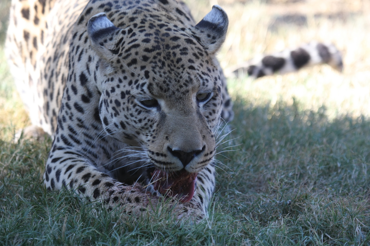 [5884] 2016_06_23_10_27_32_Africa_Canon_EOS_40D_IMG__01112.jpg