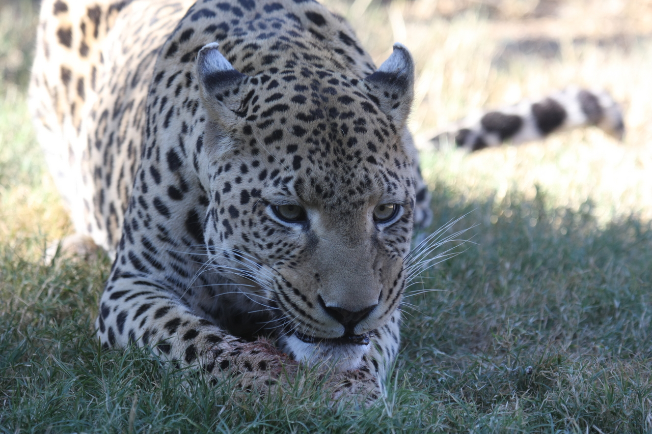 [5890] 2016_06_23_10_27_33_Africa_Canon_EOS_40D_IMG__00281.jpg