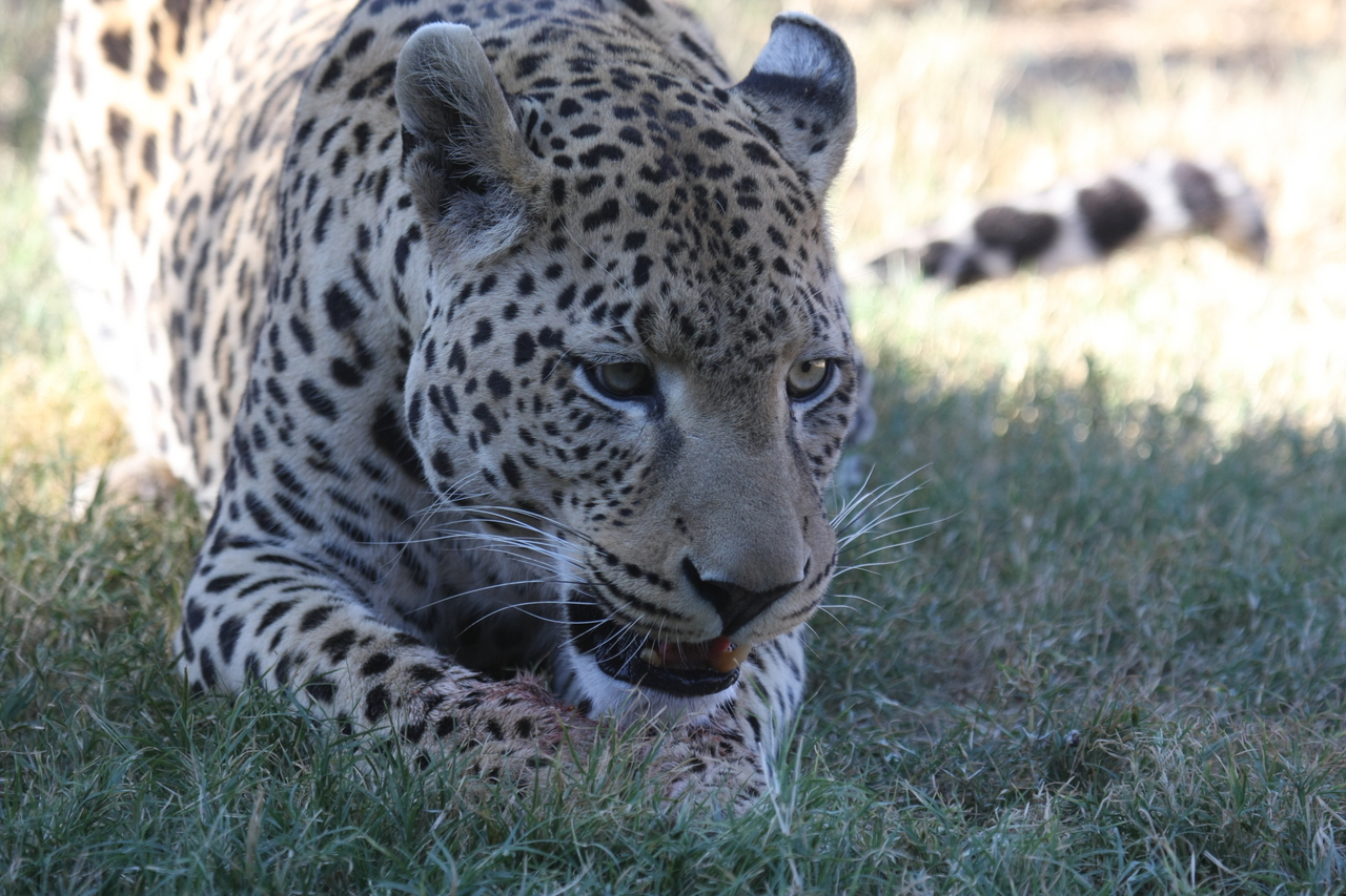 [5901] 2016_06_23_10_27_34_Africa_Canon_EOS_40D_IMG__01119.jpg