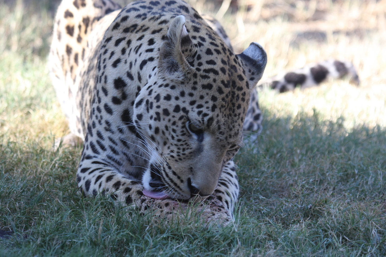 [5910] 2016_06_23_10_27_42_Africa_Canon_EOS_40D_IMG__01122.jpg