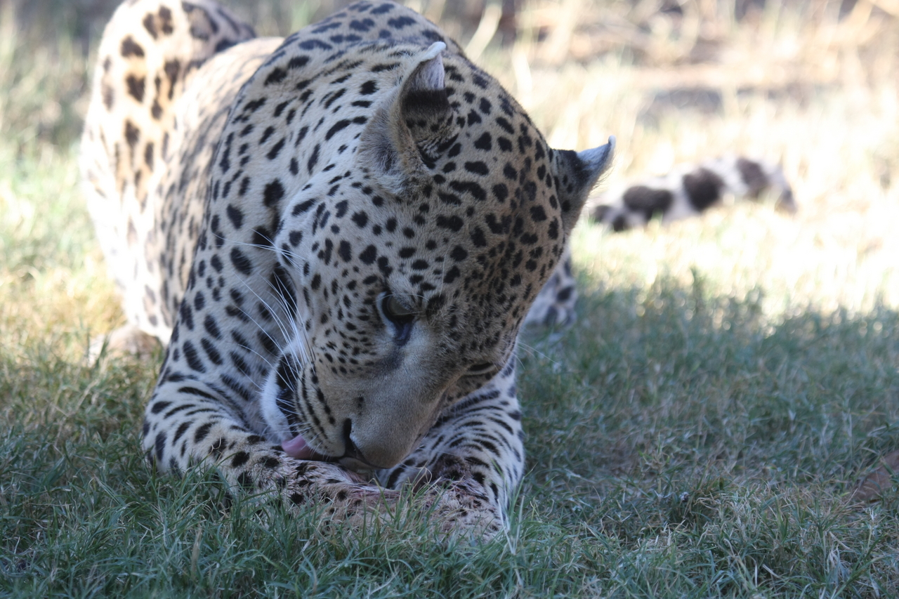 [5925] 2016_06_23_10_27_46_Africa_Canon_EOS_40D_IMG__01126.jpg