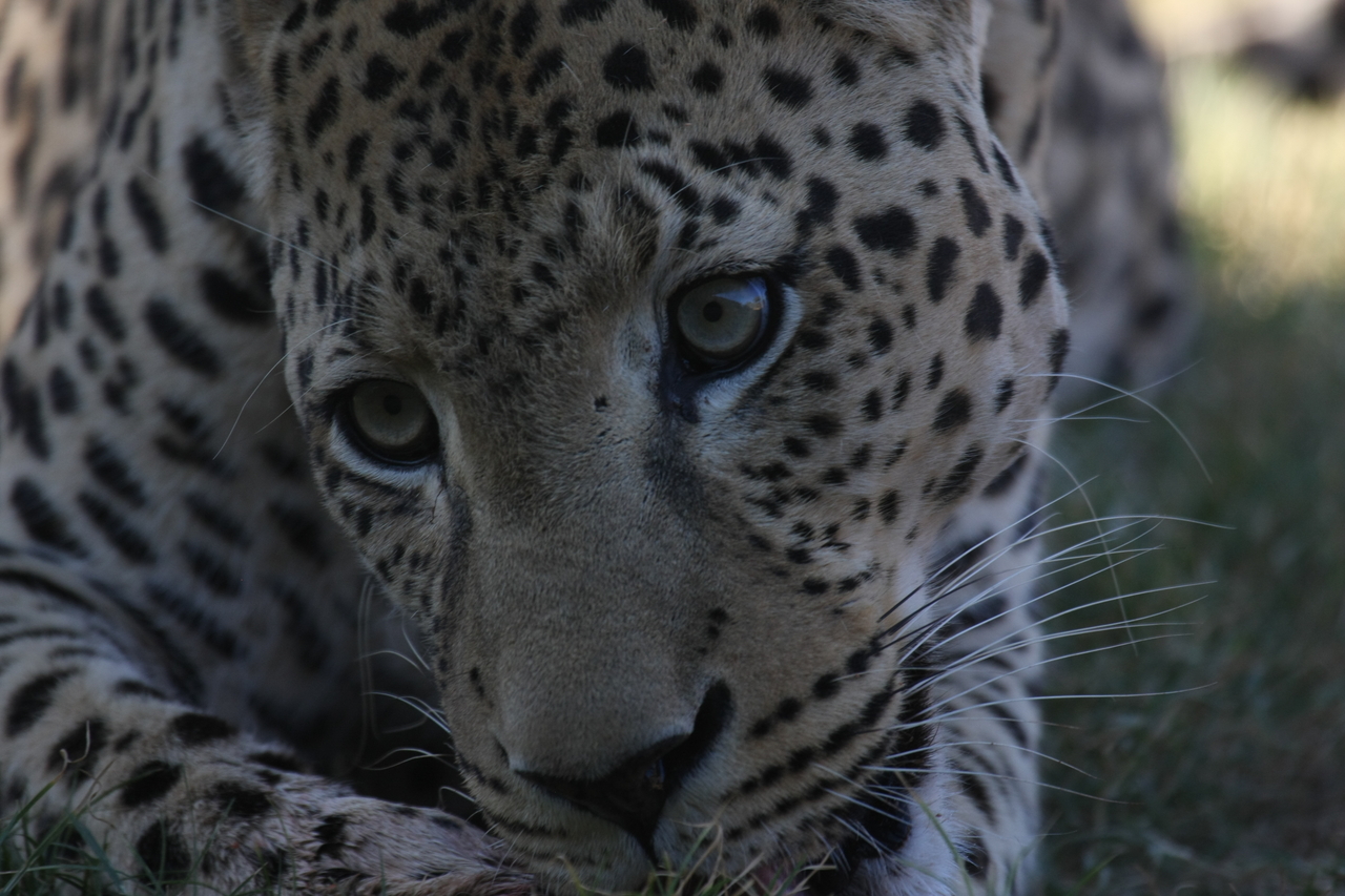 [5937] 2016_06_23_10_27_52_Africa_Canon_EOS_40D_IMG__01130.jpg