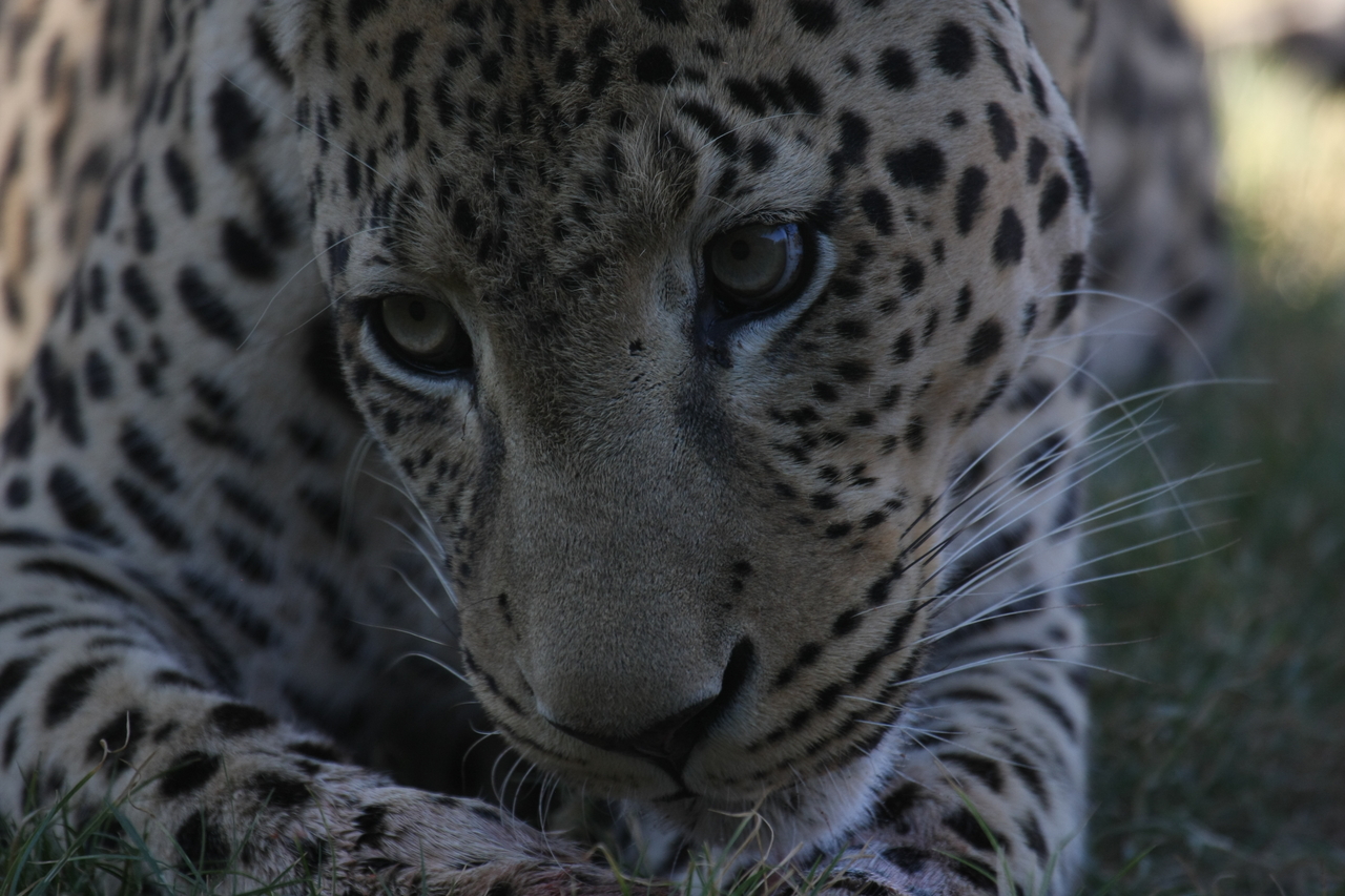 [5938] 2016_06_23_10_27_52_Africa_Canon_EOS_40D_IMG__01131.jpg
