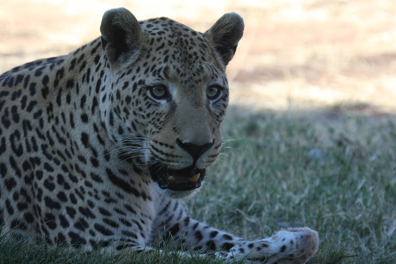 [6071] 2016_06_23_10_32_07_Africa_Canon_EOS_40D_IMG__01159.jpg