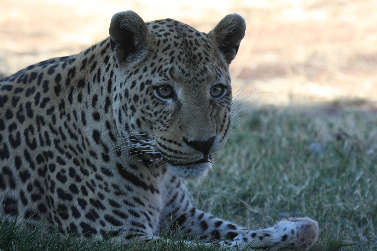 [6073] 2016_06_23_10_32_07_Africa_Canon_EOS_40D_IMG__01161.jpg