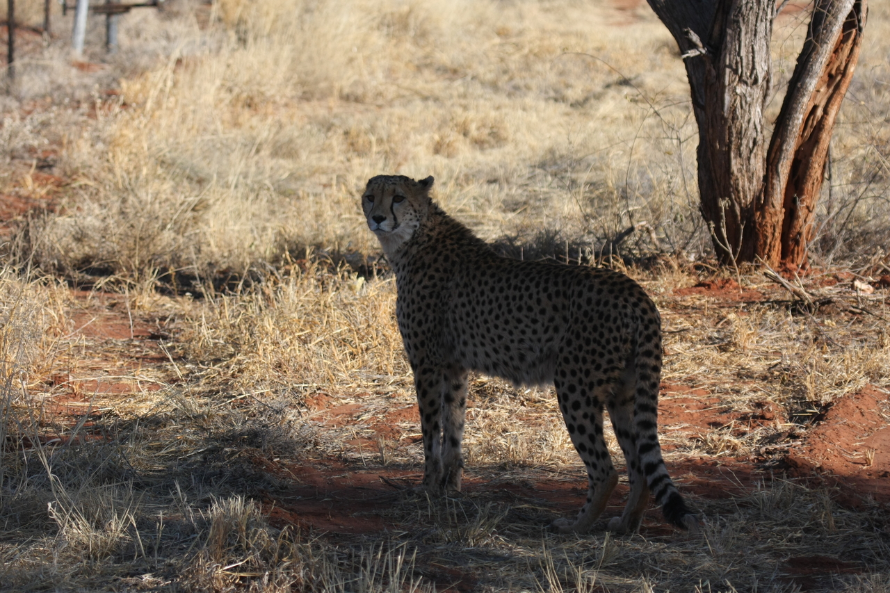 [6308] 2016_06_23_10_45_39_Africa_Canon_EOS_40D_IMG__00353.jpg