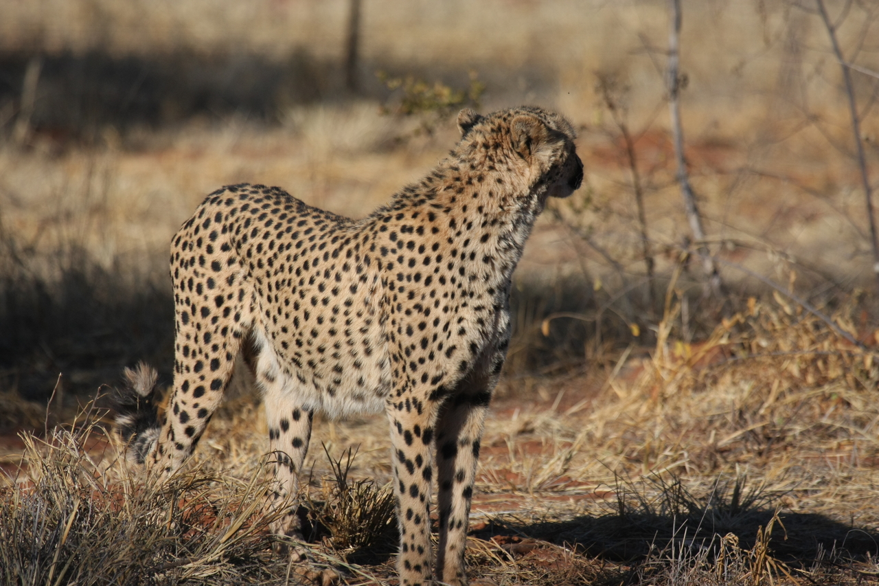 [6405] 2016_06_23_10_49_17_Africa_Canon_EOS_40D_IMG__08663.jpg