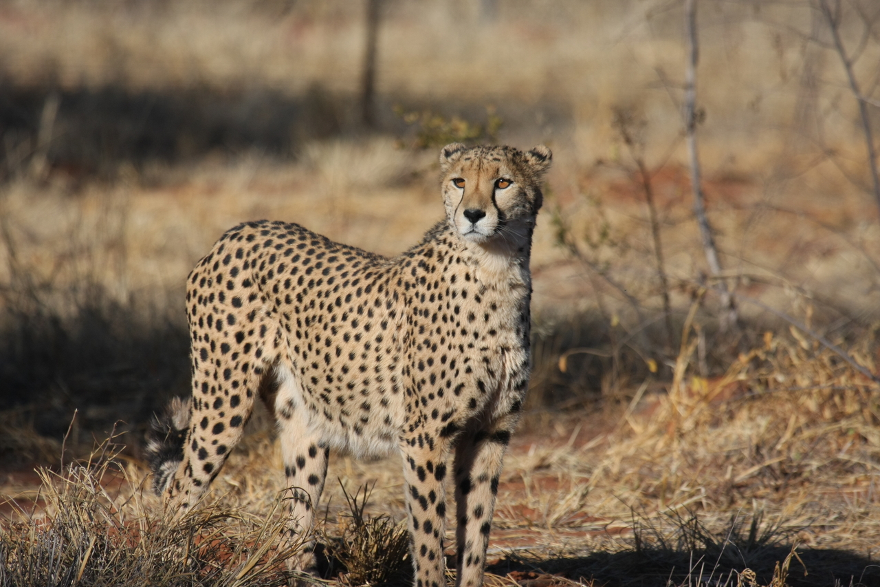 [6407] 2016_06_23_10_49_20_Africa_Canon_EOS_40D_IMG__00384.jpg