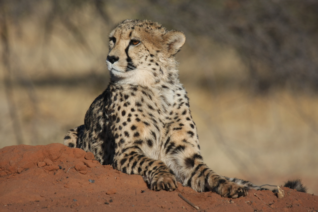 [6673] 2016_06_23_10_56_57_Africa_Canon_EOS_40D_IMG__00462.jpg
