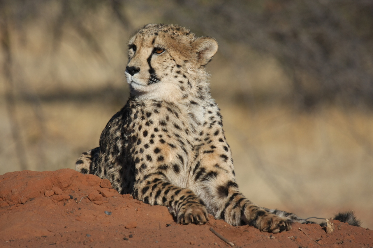[6674] 2016_06_23_10_56_57_Africa_Canon_EOS_40D_IMG__00463.jpg