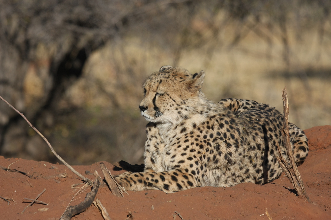 [6695] 2016_06_23_10_57_51_Africa_Canon_EOS_40D_IMG__00470.jpg