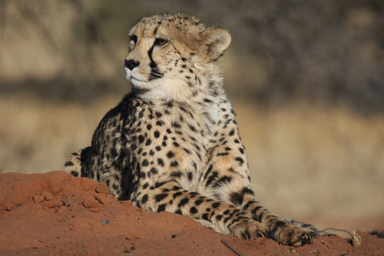 [6708] 2016_06_23_10_58_14_Africa_Canon_EOS_40D_IMG__00475.jpg