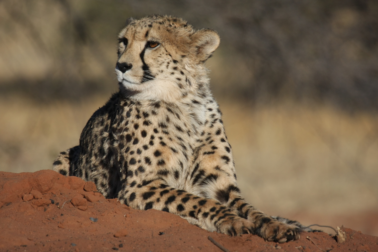 [6719] 2016_06_23_10_58_29_Africa_Canon_EOS_40D_IMG__00476.jpg