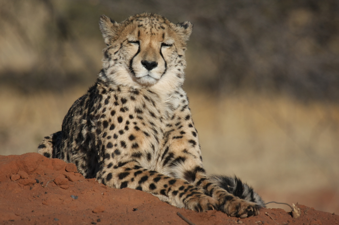 [6731] 2016_06_23_10_58_32_Africa_Canon_EOS_40D_IMG__00480.jpg