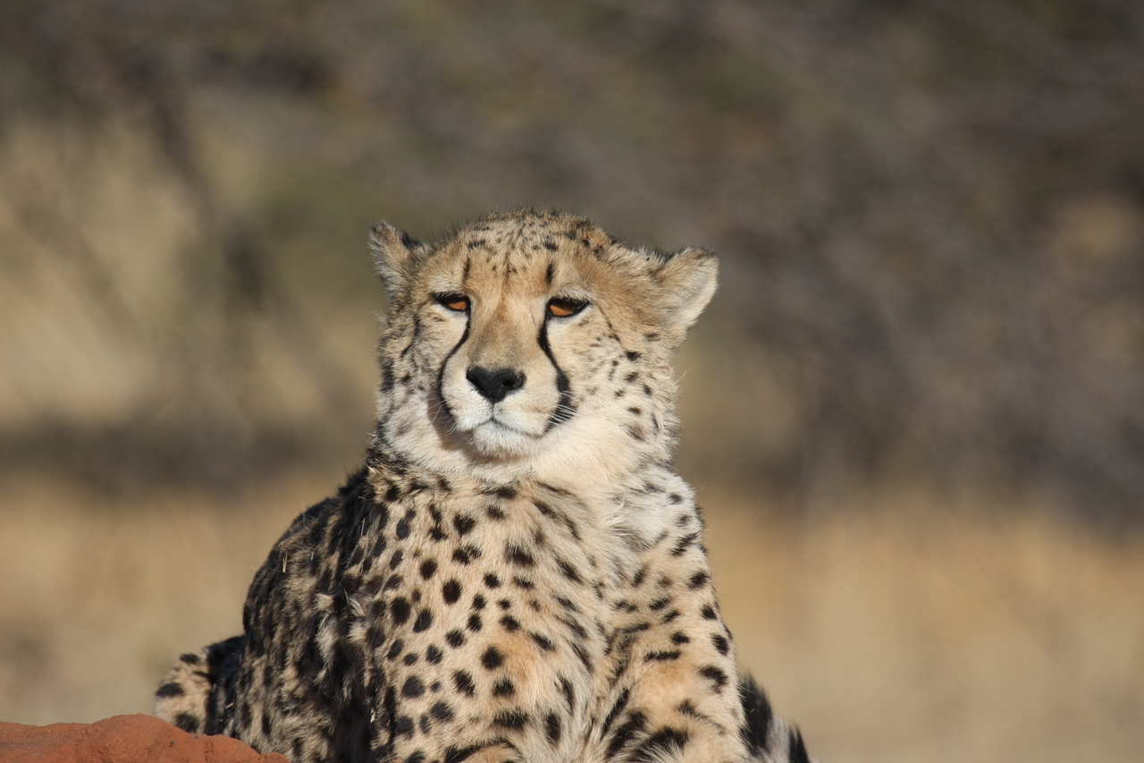 [6760] 2016_06_23_10_58_44_Africa_Canon_EOS_40D_IMG__01323.jpg