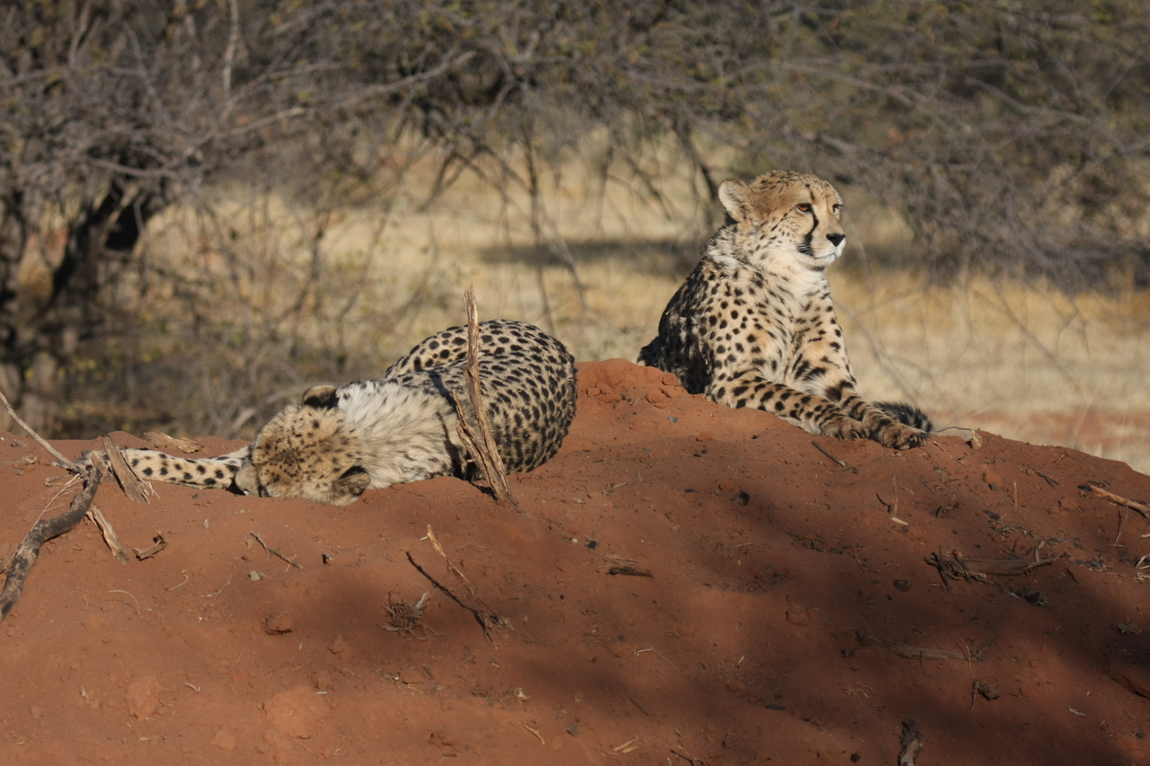 [7020] 2016_06_23_11_08_21_Africa_Canon_EOS_40D_IMG__08846.jpg