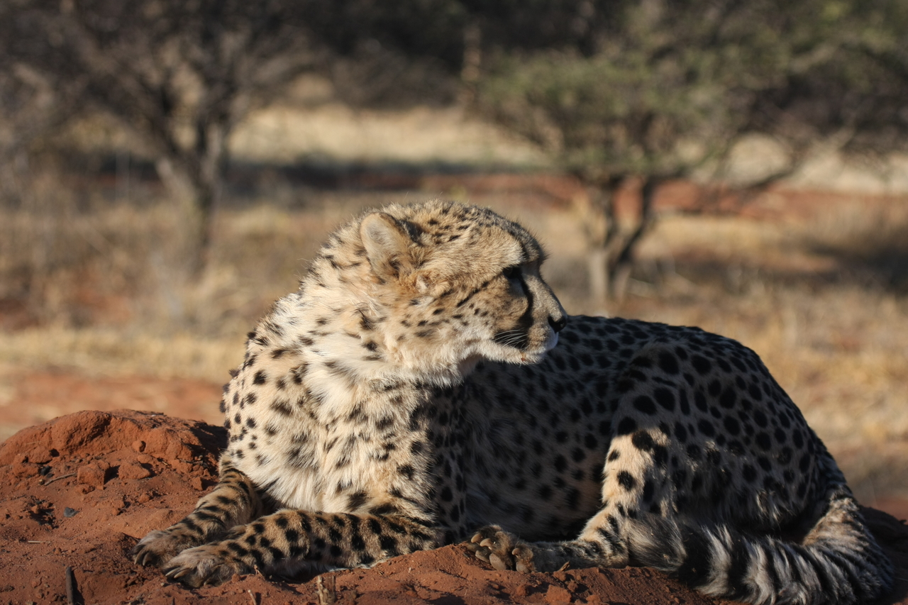 [7067] 2016_06_23_11_13_20_Africa_Canon_EOS_40D_IMG__01416.jpg