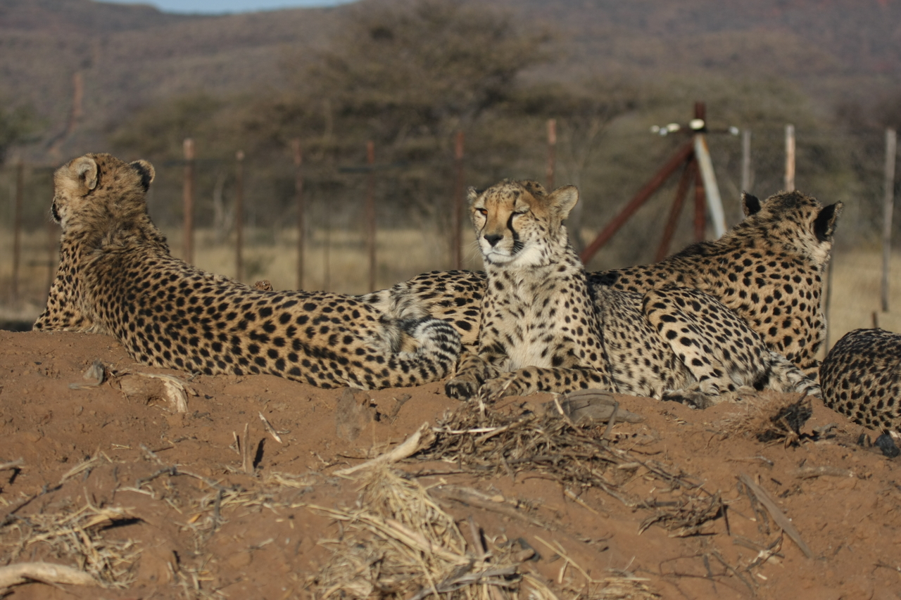 [7151] 2016_06_23_11_20_35_Africa_Canon_EOS_40D_IMG__00598.jpg