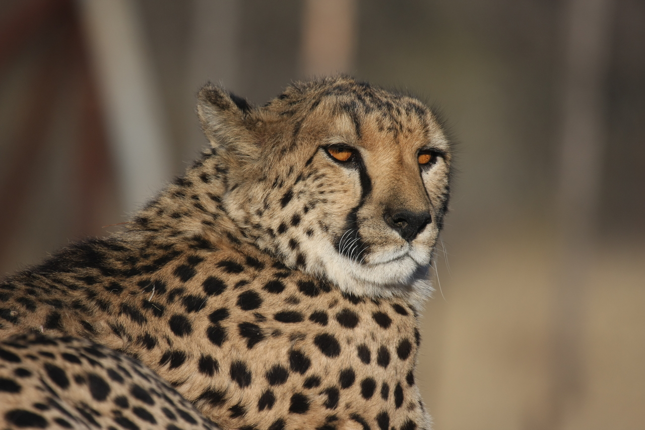 [7184] 2016_06_23_11_21_03_Africa_Canon_EOS_40D_IMG__08886.jpg