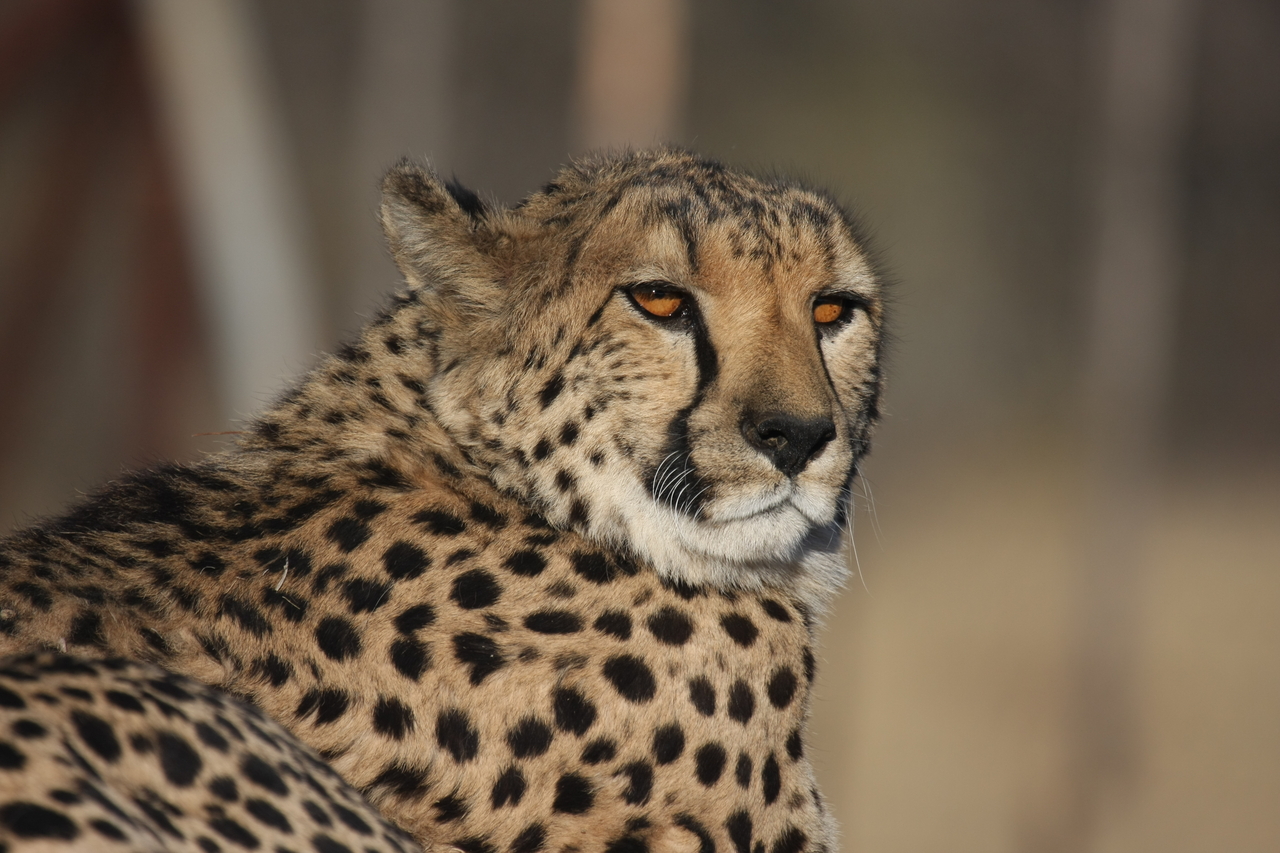 [7186] 2016_06_23_11_21_03_Africa_Canon_EOS_40D_IMG__08888.jpg