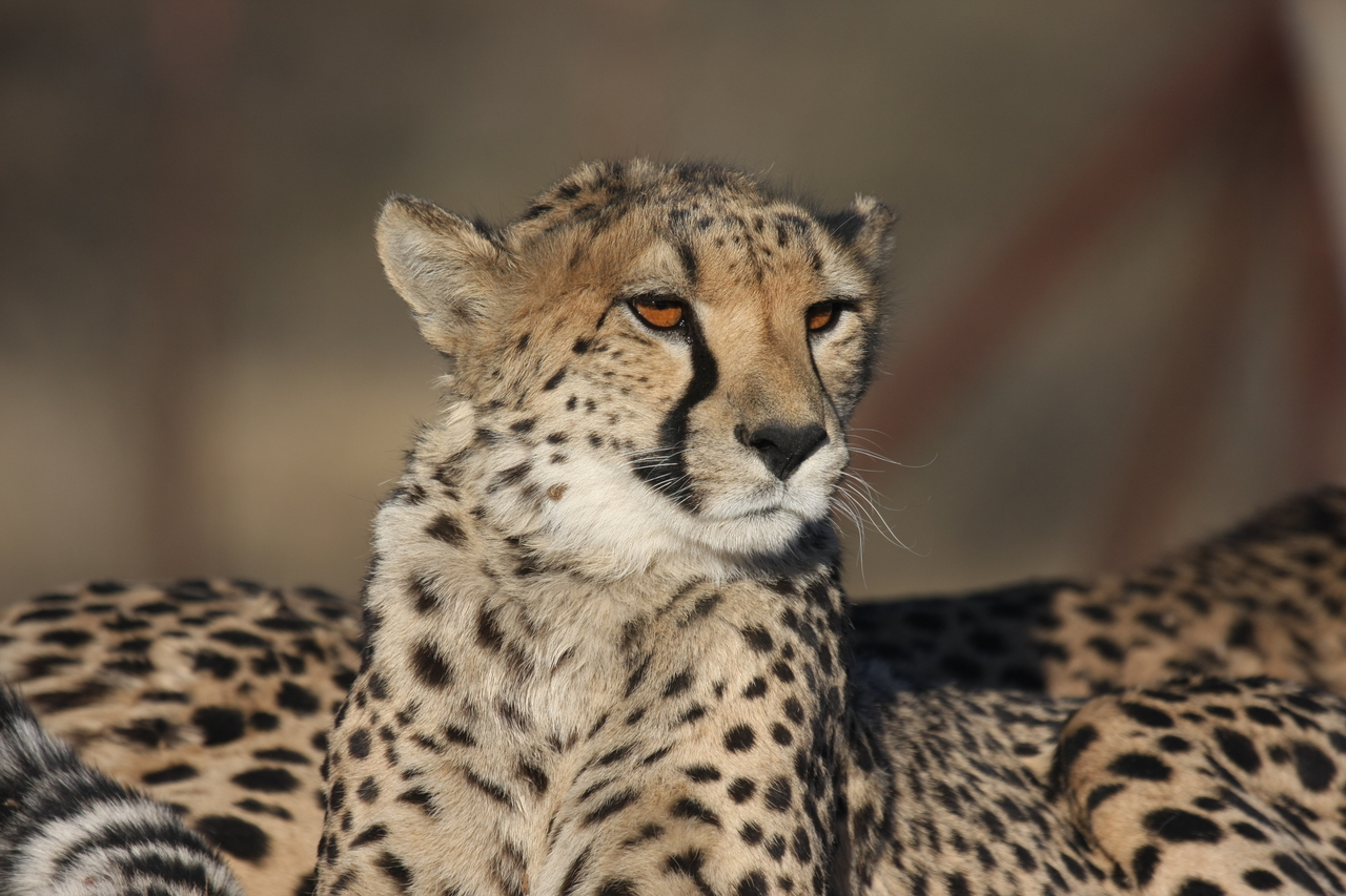 [7207] 2016_06_23_11_21_21_Africa_Canon_EOS_40D_IMG__01448.jpg