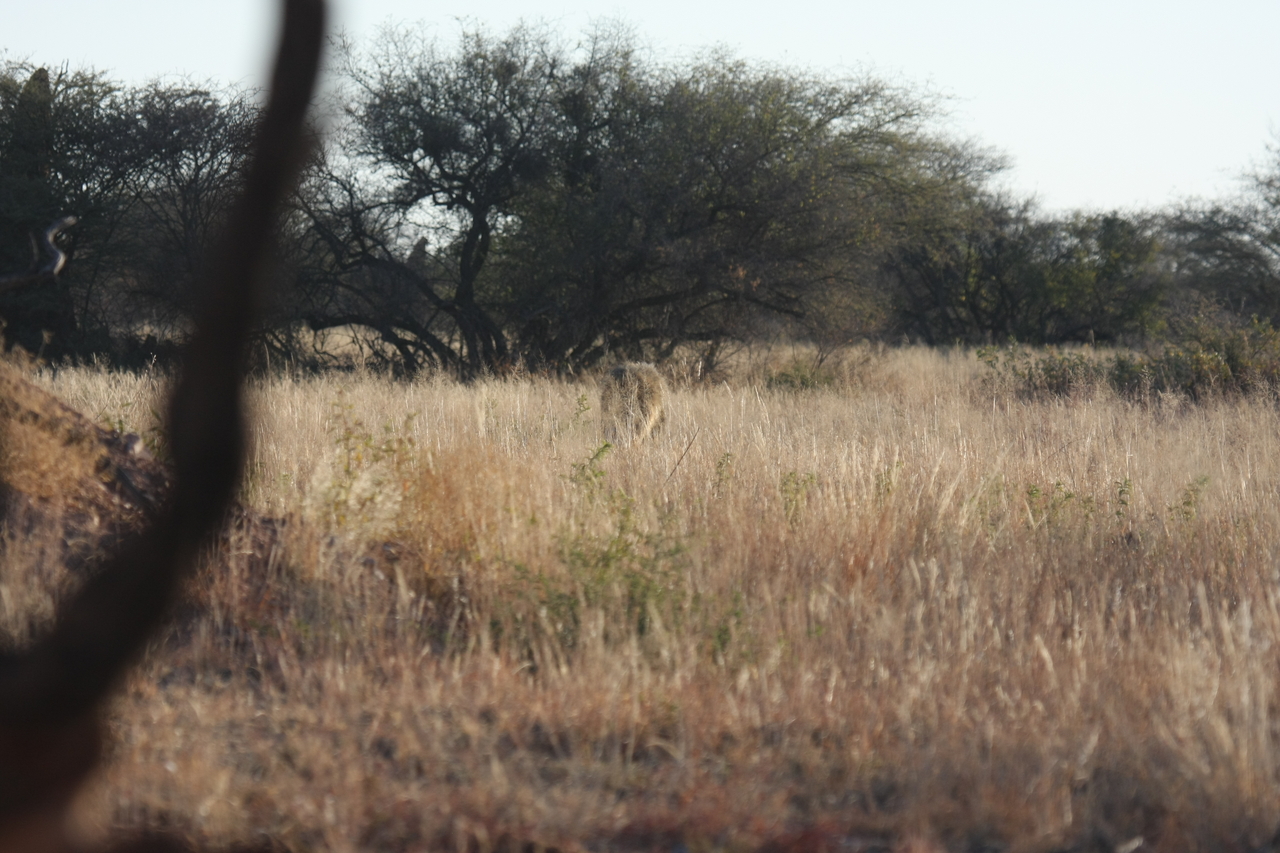 [7242] 2016_06_23_11_38_54_Africa_Canon_EOS_40D_IMG__00625.jpg