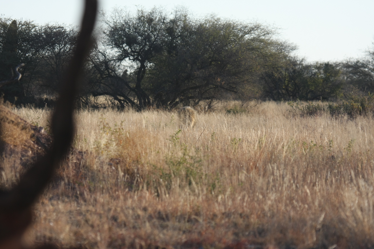 [7246] 2016_06_23_11_38_54_Africa_Canon_EOS_40D_IMG__01460.jpg