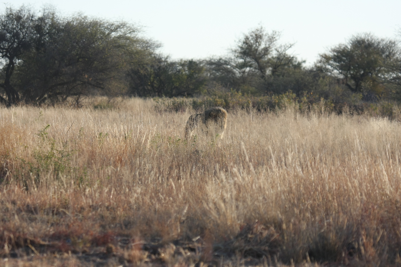 [7254] 2016_06_23_11_39_04_Africa_Canon_EOS_40D_IMG__01462.jpg