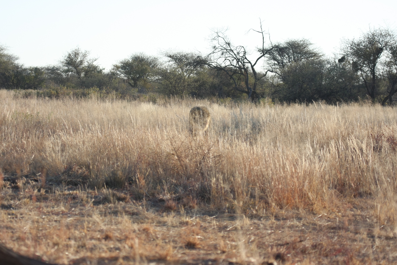 [7278] 2016_06_23_11_39_13_Africa_Canon_EOS_40D_IMG__00637.jpg
