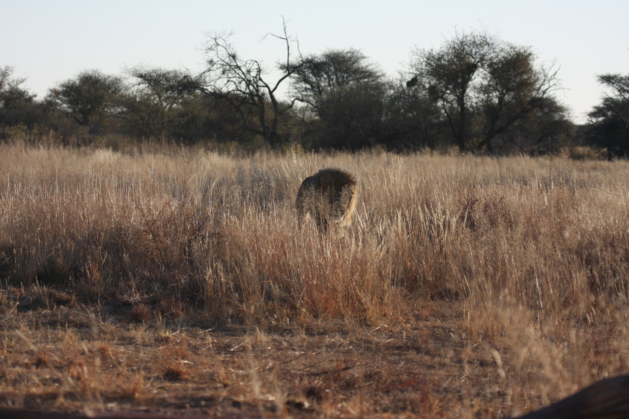 [7291] 2016_06_23_11_39_17_Africa_Canon_EOS_40D_IMG__00642.jpg