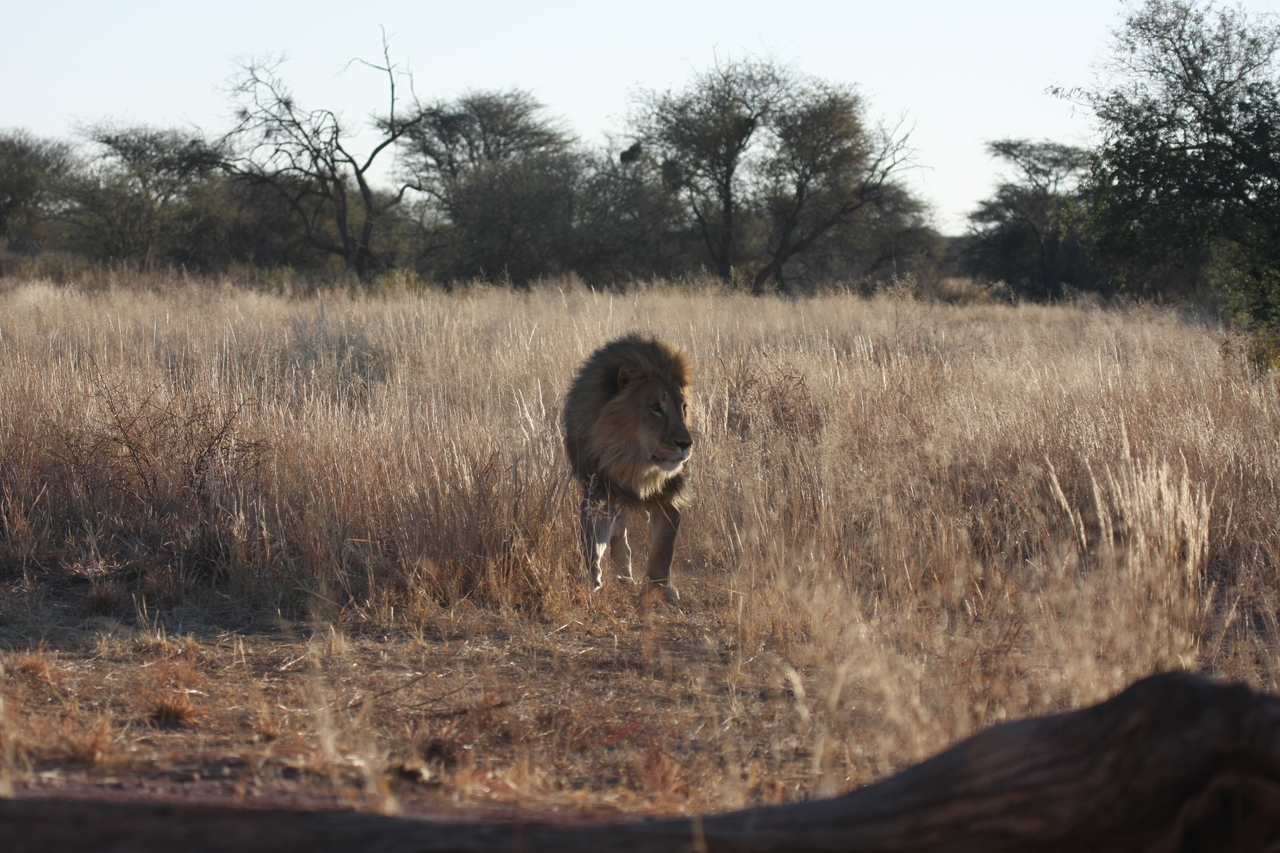 [7301] 2016_06_23_11_39_20_Africa_Canon_EOS_40D_IMG__00646.jpg