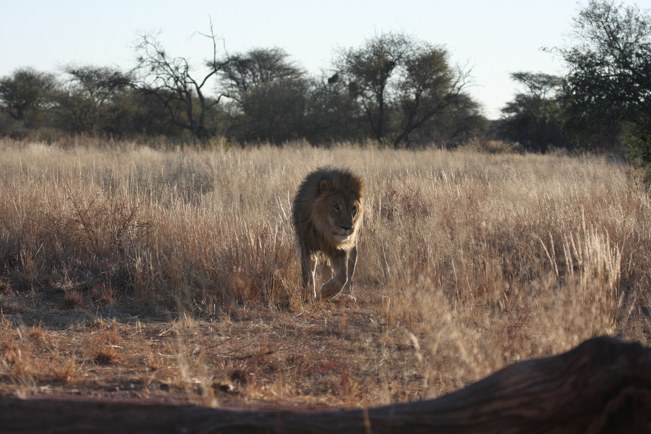 [7308] 2016_06_23_11_39_21_Africa_Canon_EOS_40D_IMG__00647.jpg
