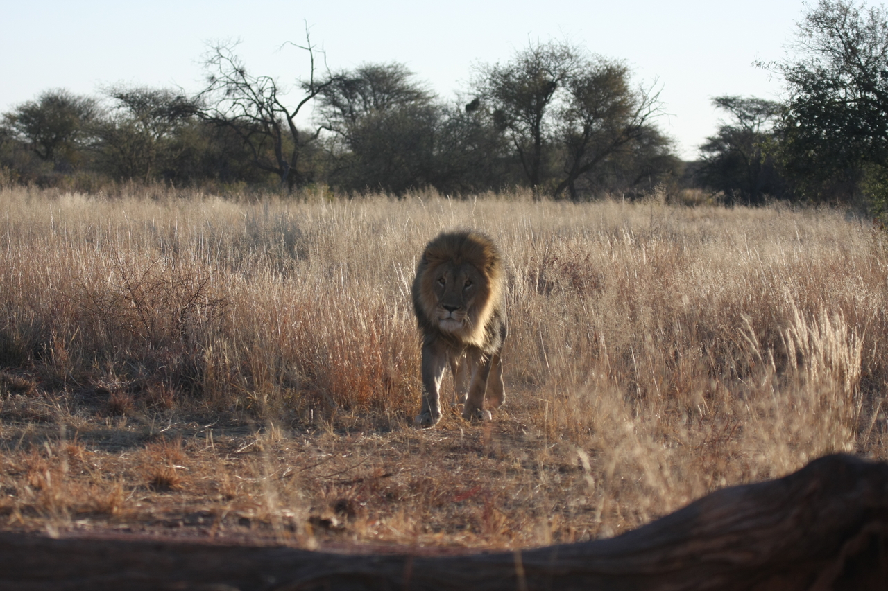 [7317] 2016_06_23_11_39_22_Africa_Canon_EOS_40D_IMG__01483.jpg