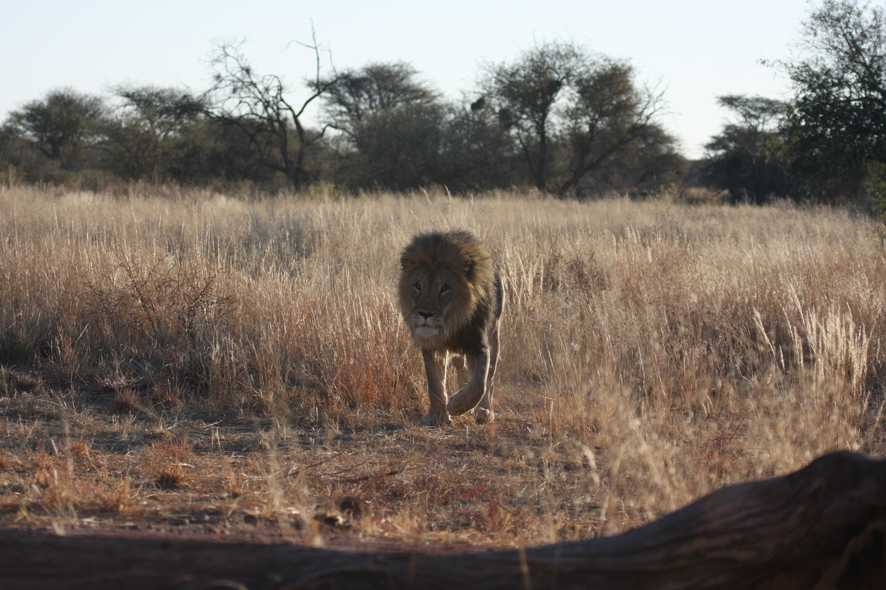 [7318] 2016_06_23_11_39_22_Africa_Canon_EOS_40D_IMG__01484.jpg
