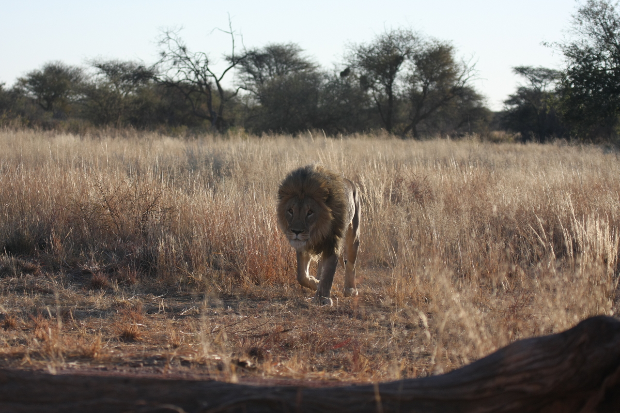 [7322] 2016_06_23_11_39_22_Africa_Canon_EOS_40D_IMG__08932.jpg