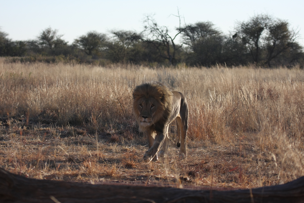 [7325] 2016_06_23_11_39_23_Africa_Canon_EOS_40D_IMG__08933.jpg
