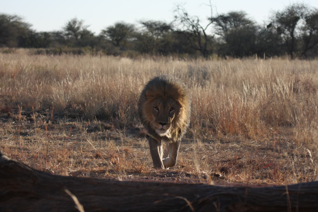[7331] 2016_06_23_11_39_24_Africa_Canon_EOS_40D_IMG__01489.jpg